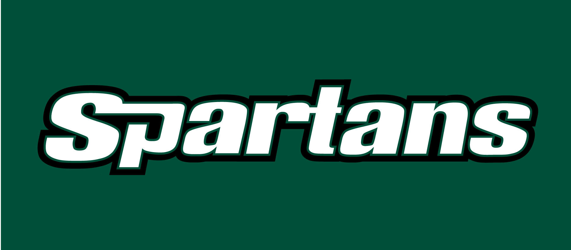 USC Upstate Spartans 2003-2010 Wordmark Logo v2 diy iron on heat transfer